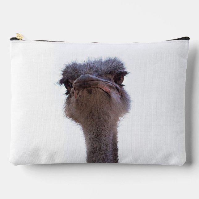 ostrich accessory pouch (Front)