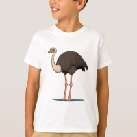 ostrich, bird, feathers picture