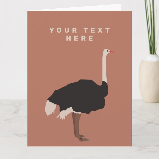 Ostrich Bird Illustration   Card (Front)