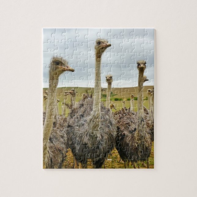 Ostrich Bird Jigsaw Puzzle (Vertical)
