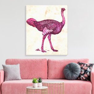 Ostrich canvas print