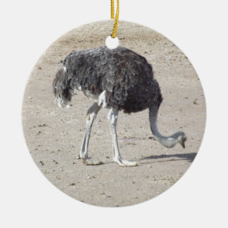 Ostrich Ceramic Tree Decoration