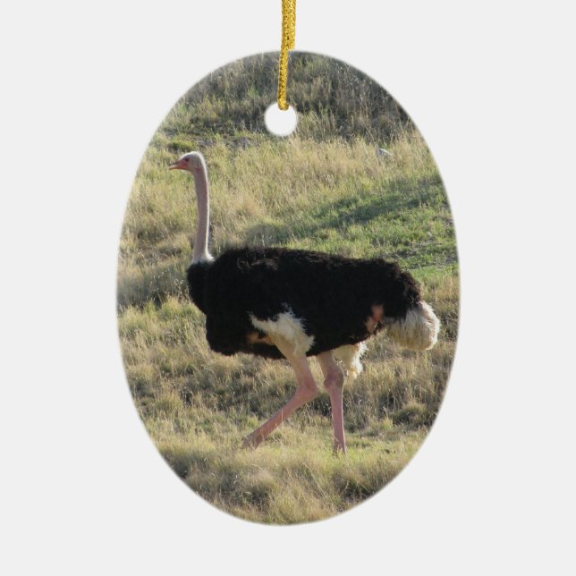 Ostrich Ceramic Tree Decoration (Front)