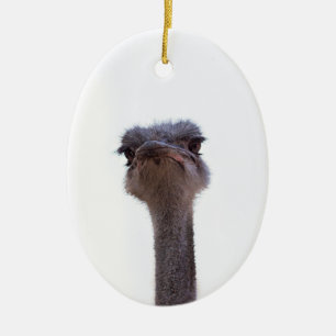 ostrich ceramic tree decoration