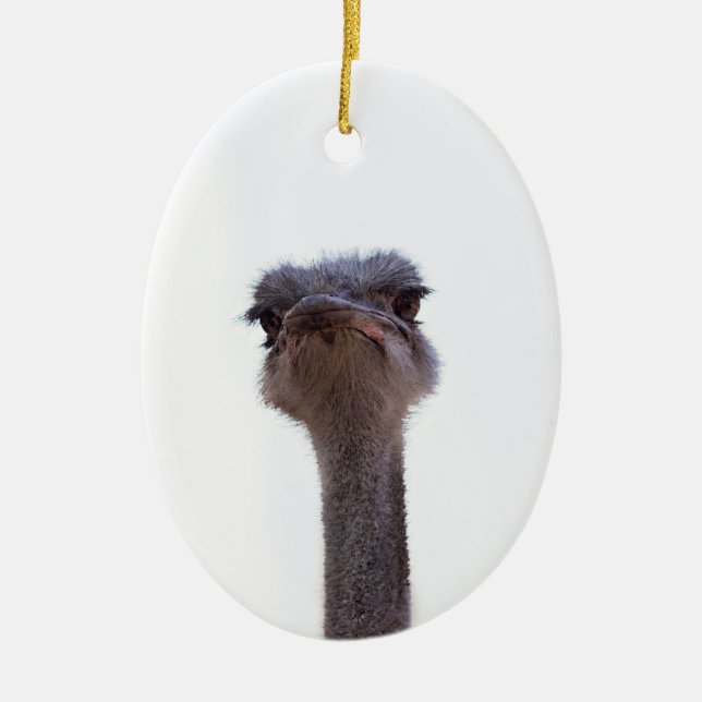 ostrich ceramic tree decoration (Front)