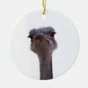 ostrich ceramic tree decoration