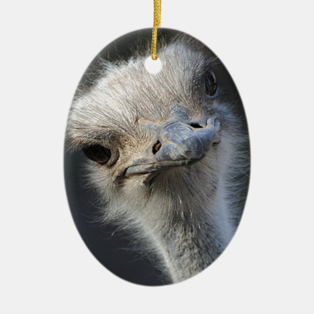 Ostrich Ceramic Tree Decoration (Front)