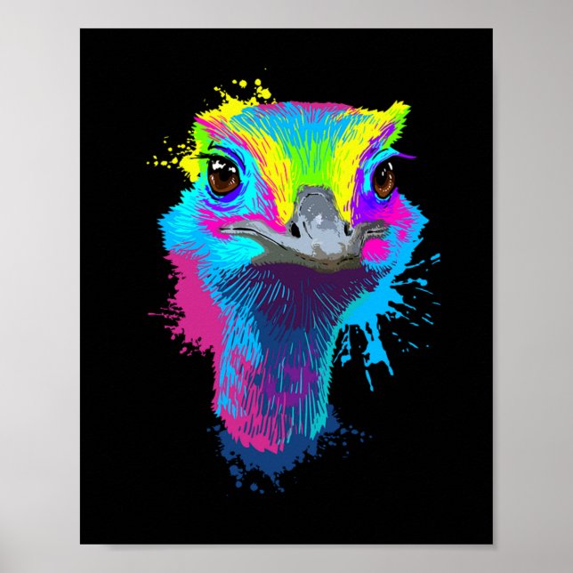 Ostrich Colourful Bird Lover Ostriches Poster (Front)