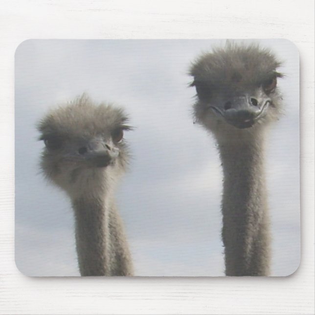 Ostrich Couple Mousepad (Front)