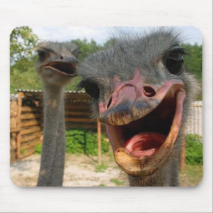 Ostrich Couple Mousepad