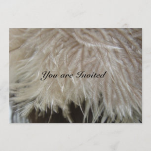 Ostrich Feathers Invitation