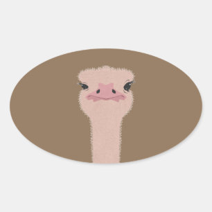 Ostrich funny face oval sticker