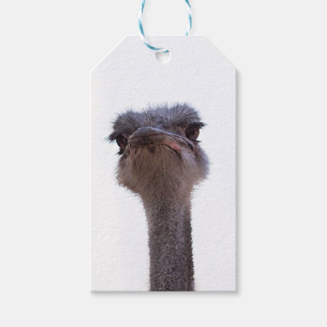 ostrich gift tags (Front)