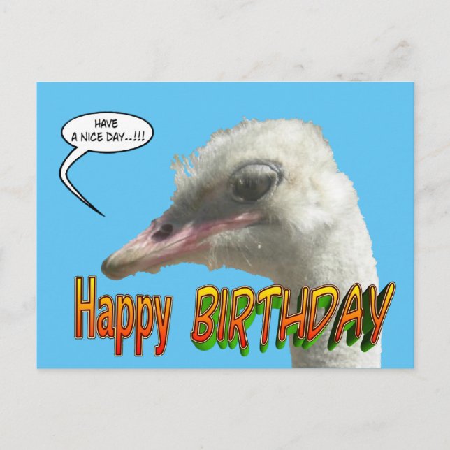 Ostrich Happy Birthday Customisable Postcard (Front)
