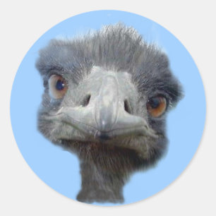 Ostrich head classic round sticker