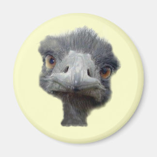 Ostrich head magnet