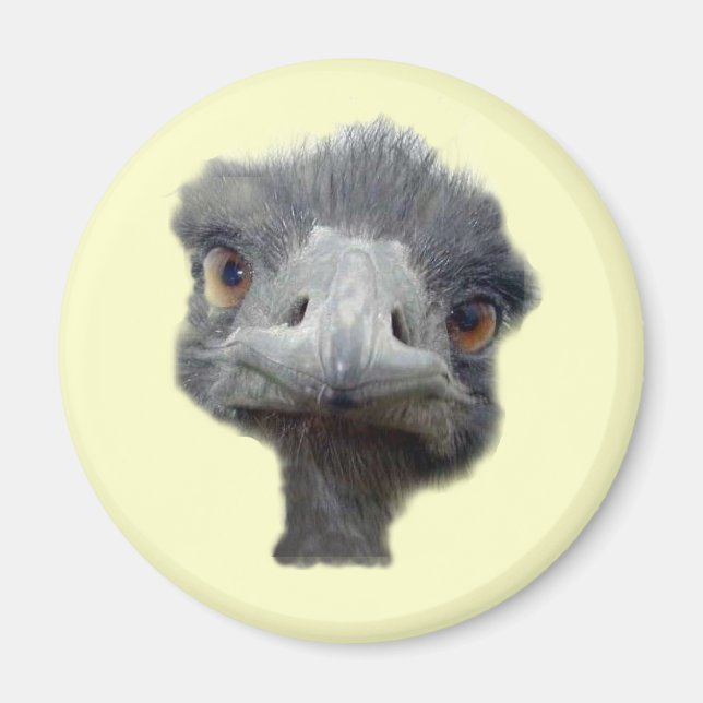 Ostrich head magnet (Front)