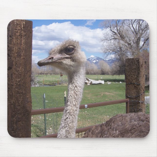 Ostrich Head Mouse Mat (Front)