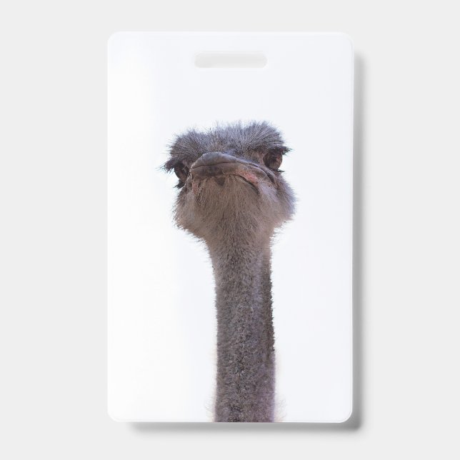 ostrich ID badge (Front)