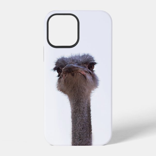 ostrich iPhone case (Back)