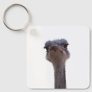 ostrich key ring