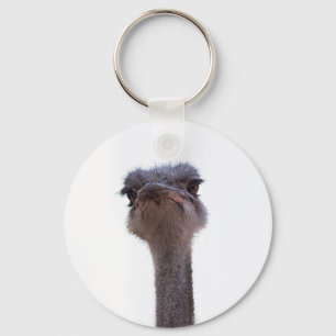 ostrich key ring