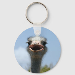 ostrich key ring