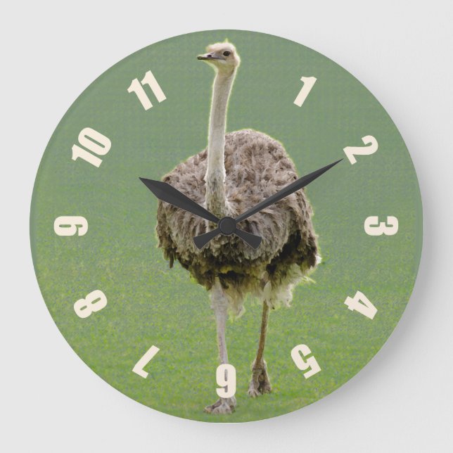 Ostrich Large Clock (Front)
