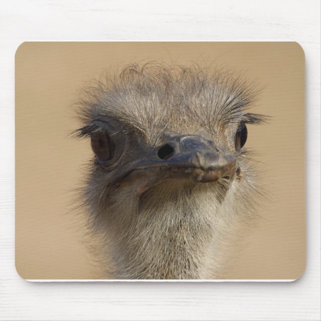 Ostrich Mouse Mat (Front)