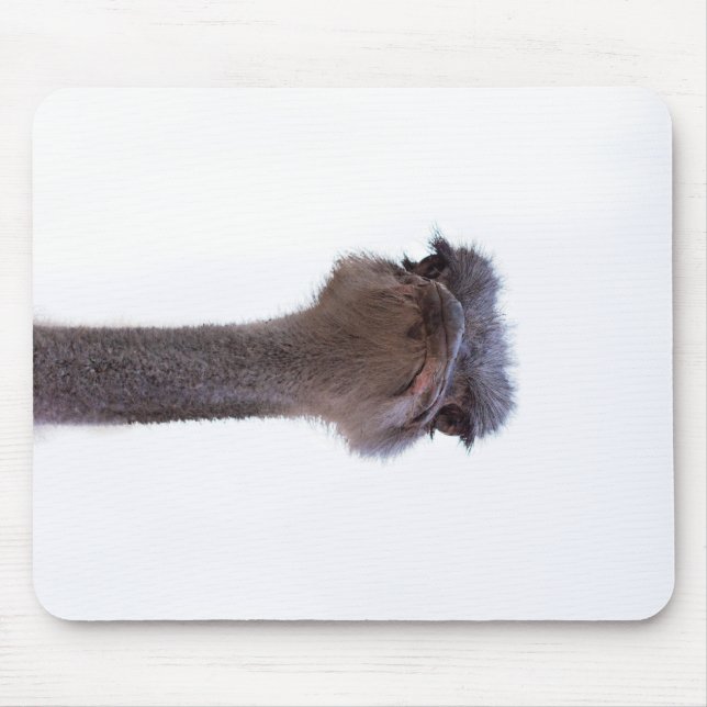 ostrich mouse mat (Front)