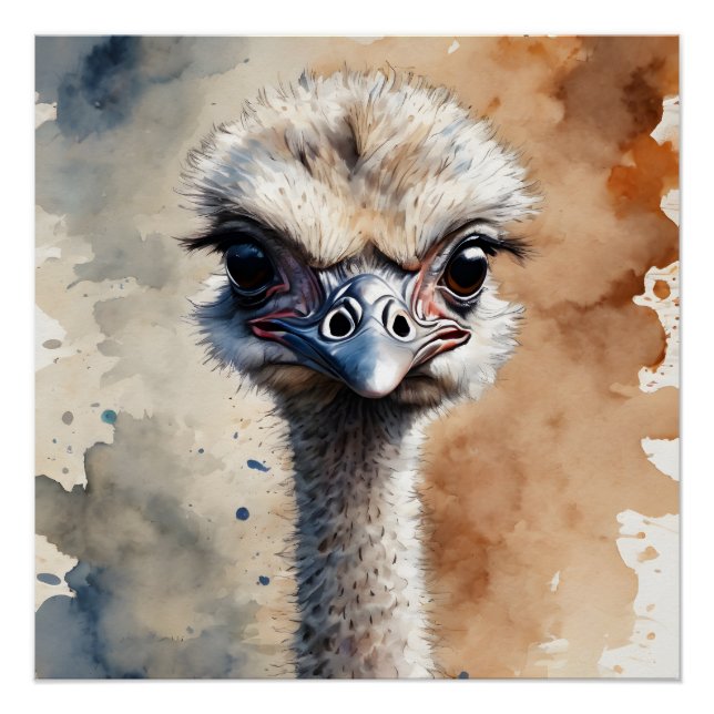 Ostrich no 1 Glossy Poster (Front)