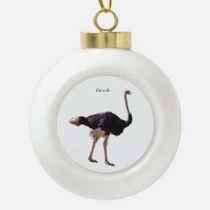 Ostrich ornament