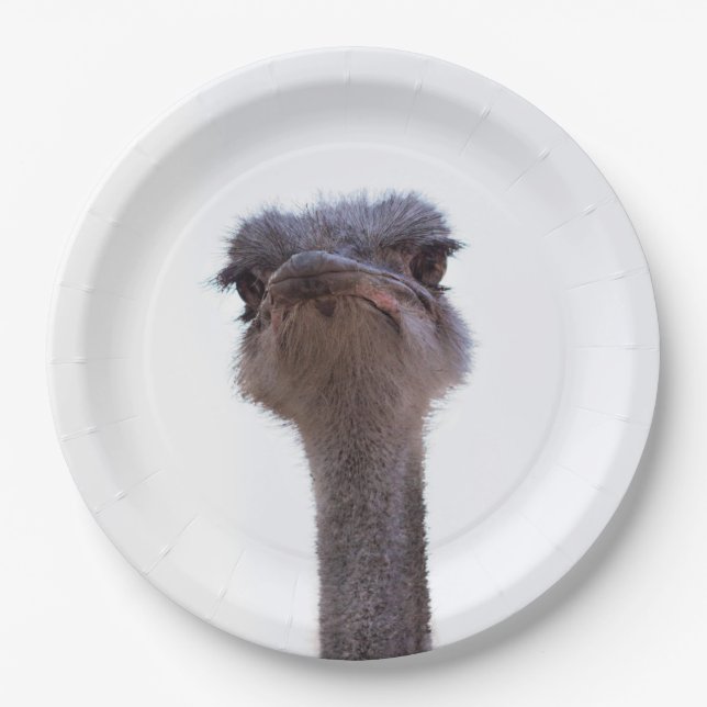 ostrich paper plate (Front)