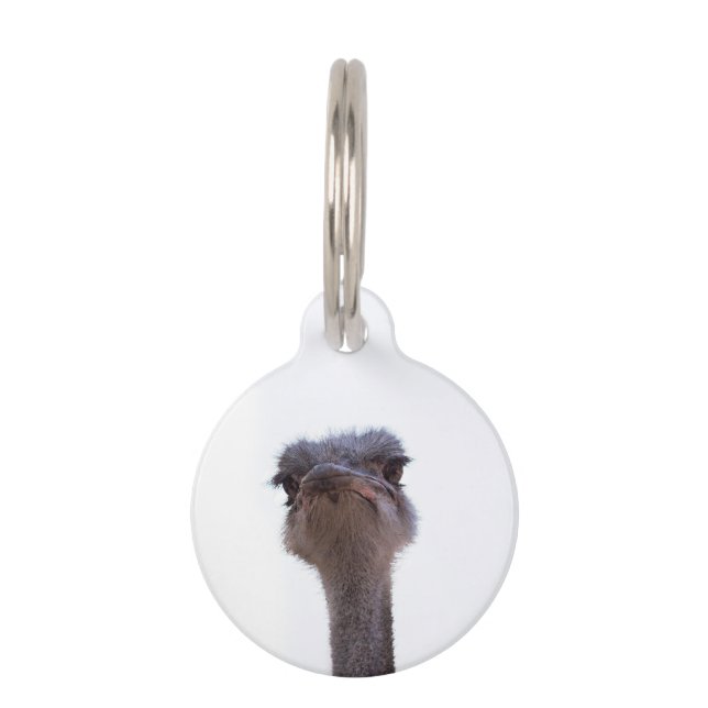ostrich pet tag (Front)