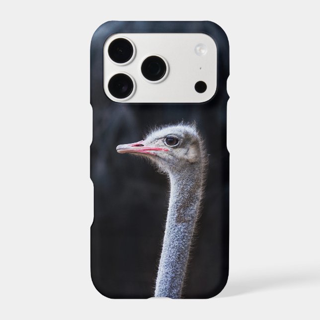 Ostrich Photography (Back)