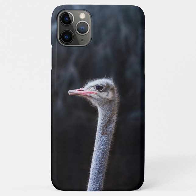 Ostrich Photography Case-Mate iPhone Case (Back)