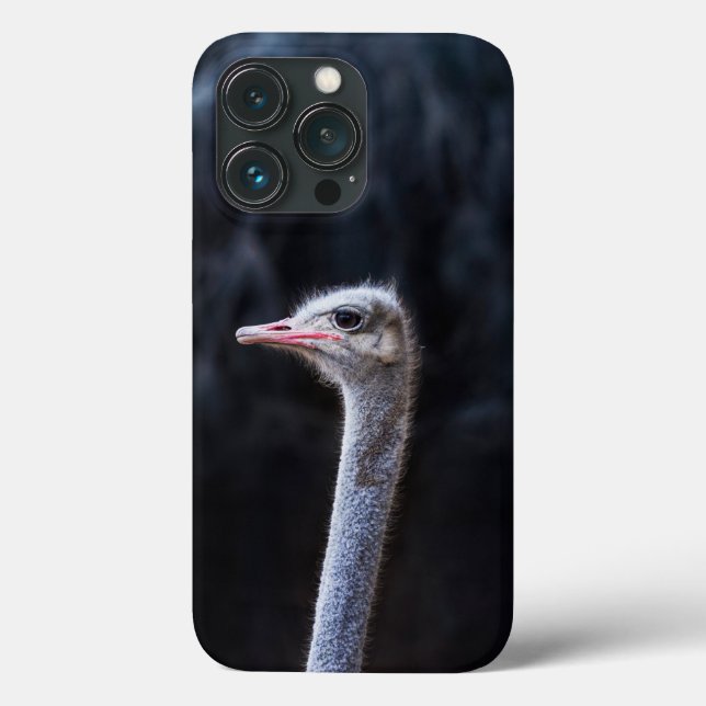 Ostrich Photography Case-Mate iPhone Case (Back)