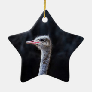 Ostrich Photography Ceramic Tree Decoration
