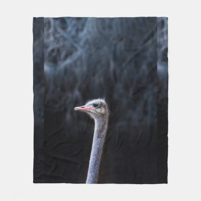 Ostrich Photography Fleece Blanket (Front)