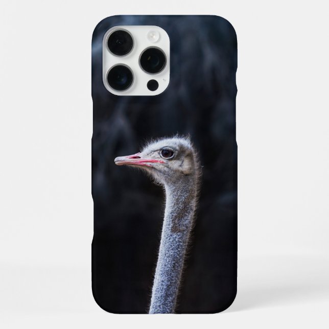 Ostrich Photography iPhone Case (Back)