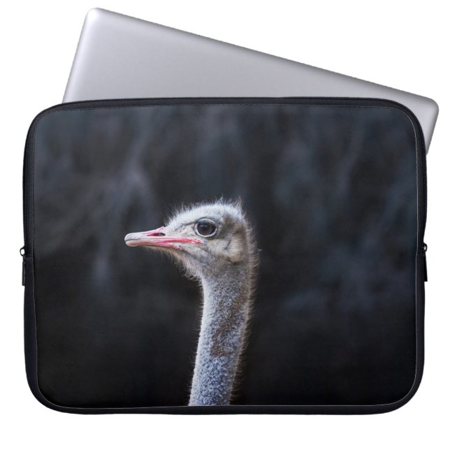 Ostrich Photography Laptop Sleeve (Front)
