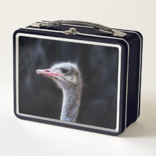 Ostrich Photography Metal Lunch Box