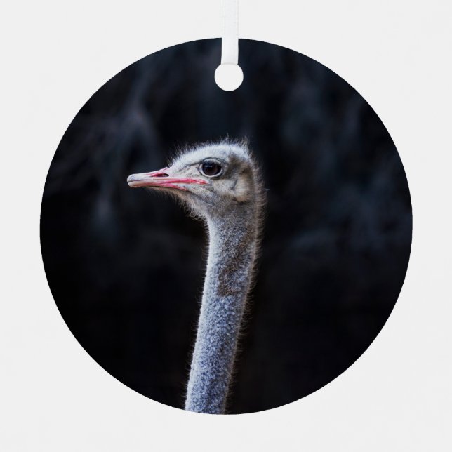 Ostrich Photography Metal Tree Decoration (Front)