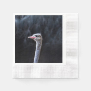 Ostrich Photography Napkin