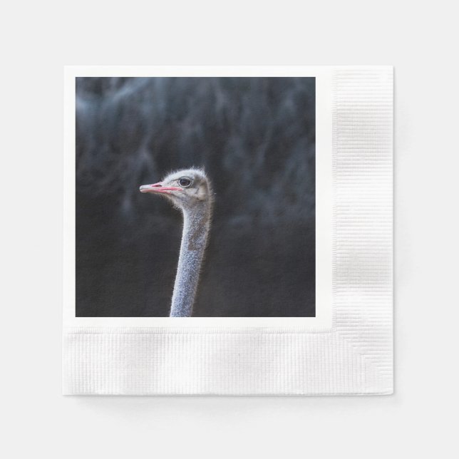 Ostrich Photography Napkin (Front)