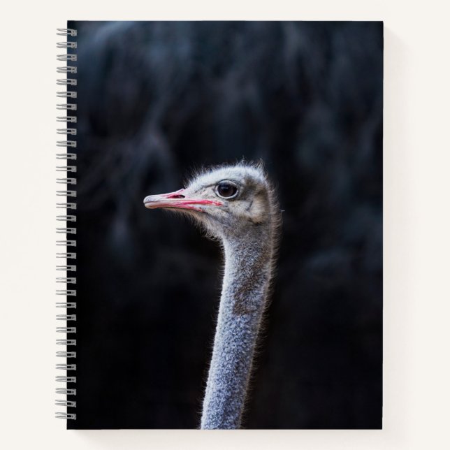 Ostrich Photography Notebook (Front)