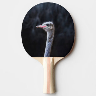 Ostrich Photography Ping Pong Paddle