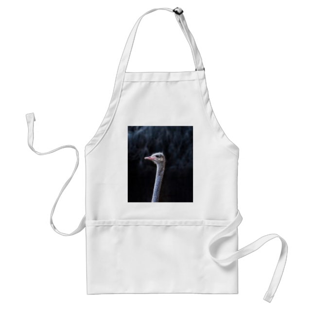 Ostrich Photography Standard Apron (Front)