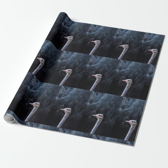 Ostrich Photography Wrapping Paper (Unrolled)
