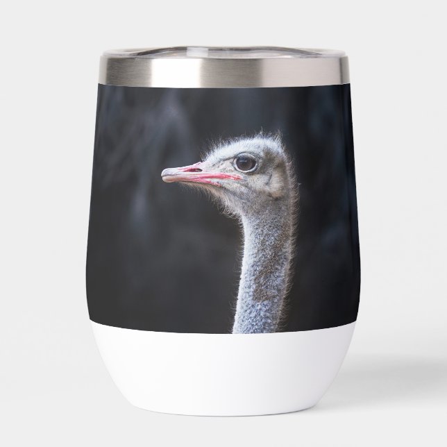 ostrich portrait  (Back)